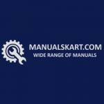 Manuals Kart profile picture