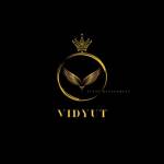 Vidyut Event Management Profile Picture