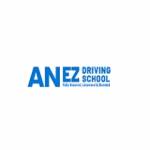 ezdriving school profile picture
