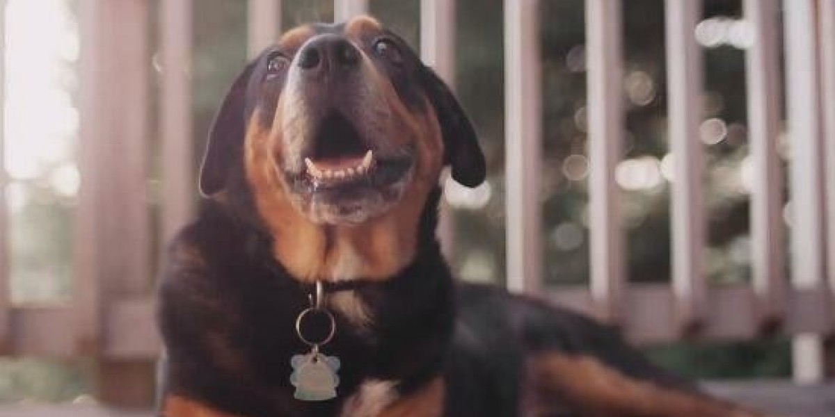 Workforce Management (WFM) - Accountability, Passion & Care