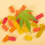 aliyahardya Profile Picture