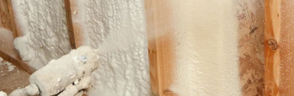 Des Moines Insulation Cover Image