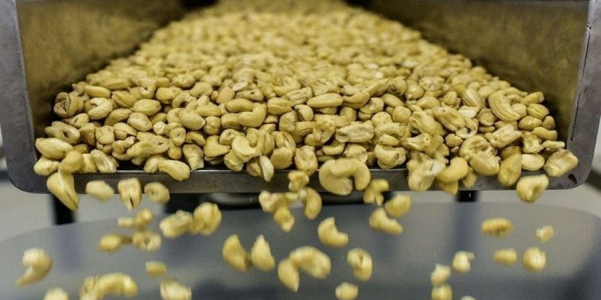 How Cashew Products Are Transforming Snacks and Plant-Based Nutrition