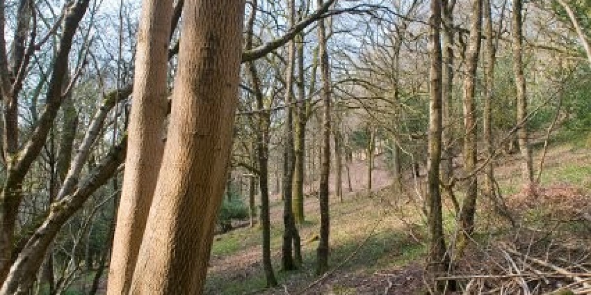 SGR ASX: Star negotiates with Salter Brothers for long-term $750m refinancing