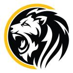 Digitalroar Softlabs Profile Picture