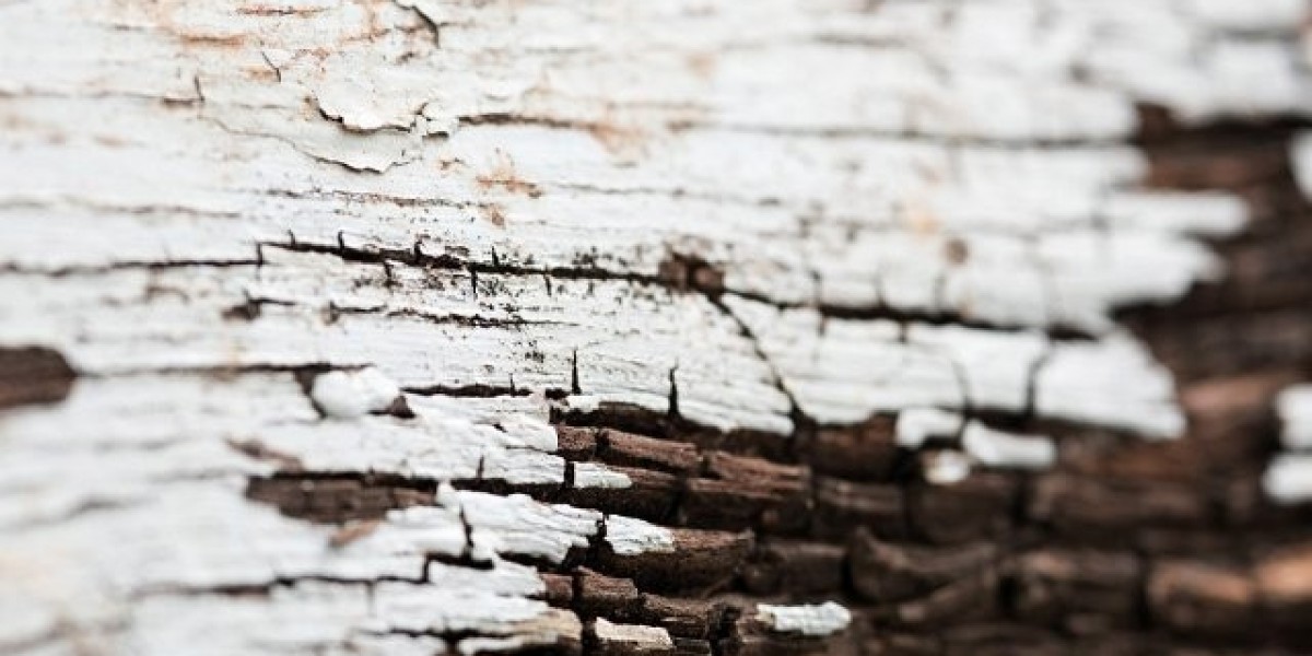 Best Online Casinos Australia Traffic Plus Rates Real