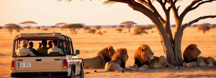 Vencha Travel Cover Image