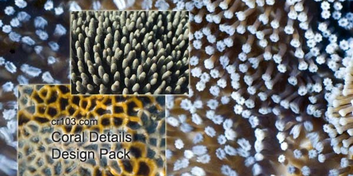 Casino Rocket AU: Claim A$5000 Bonus + 350 FS Today!