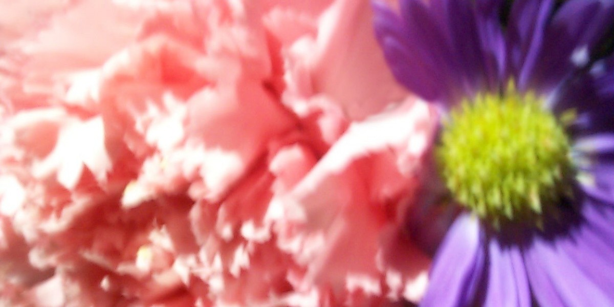 Hotel Resort Accommodation Townsville, Queensland