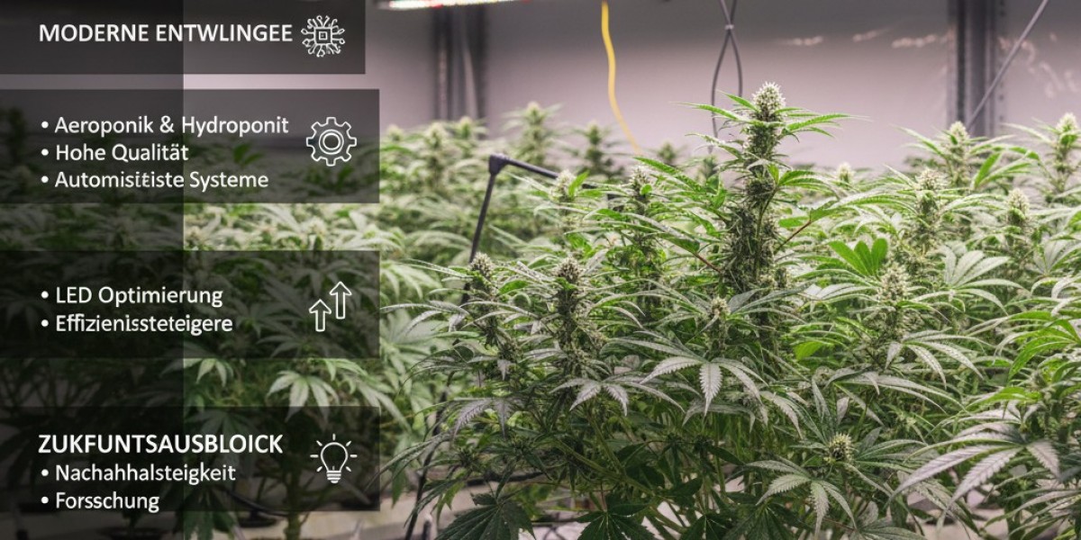 Hanfsteckling: The Quiet Innovation Shaping the Future of Cannabis Genetics