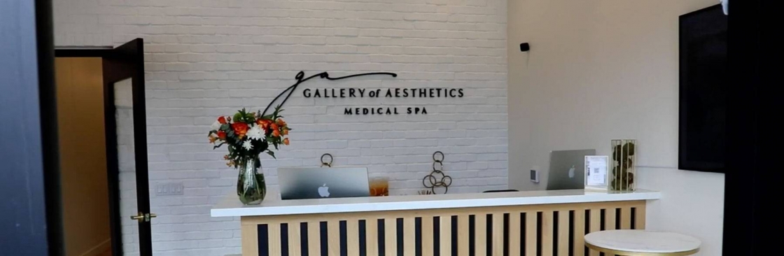 Gallery of Aesthetics Cover Image