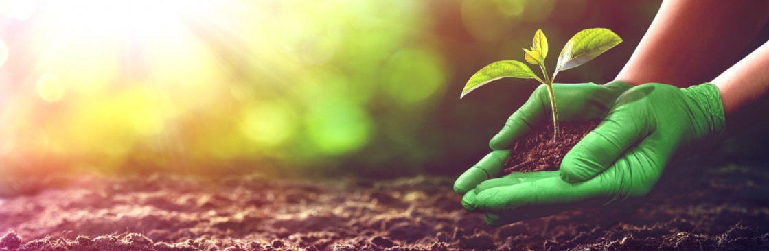 MDS Associates Inc Cover Image