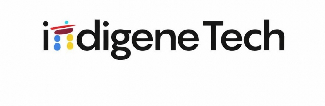 Indigene Tech Cover Image
