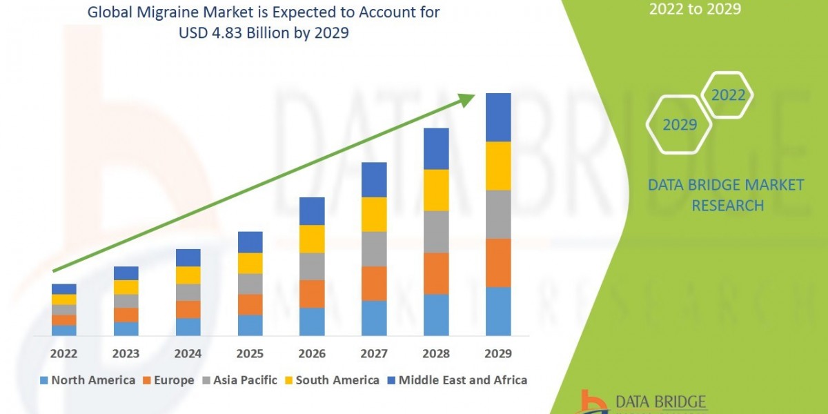 Migraine Market Scope, Segmentation, and Key Insights 2025–2032