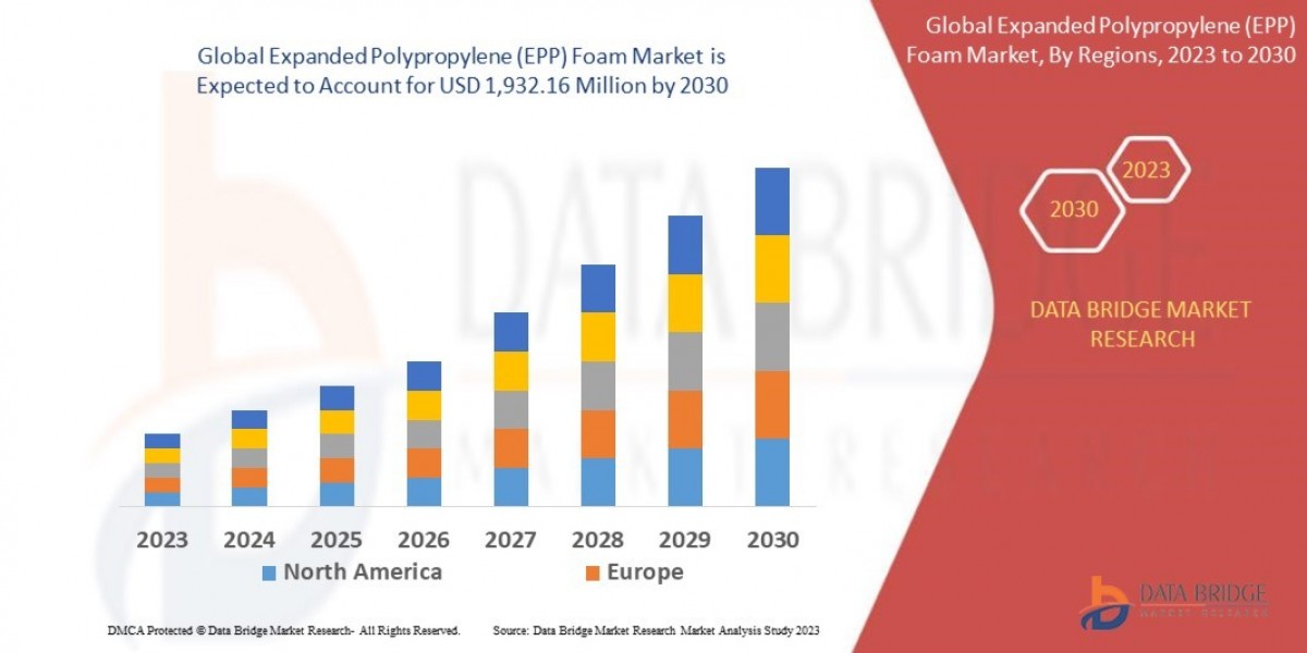 Expanded Polypropylene (EPP) Foam Market Scope, Segmentation, and Key Insights 2025–2032