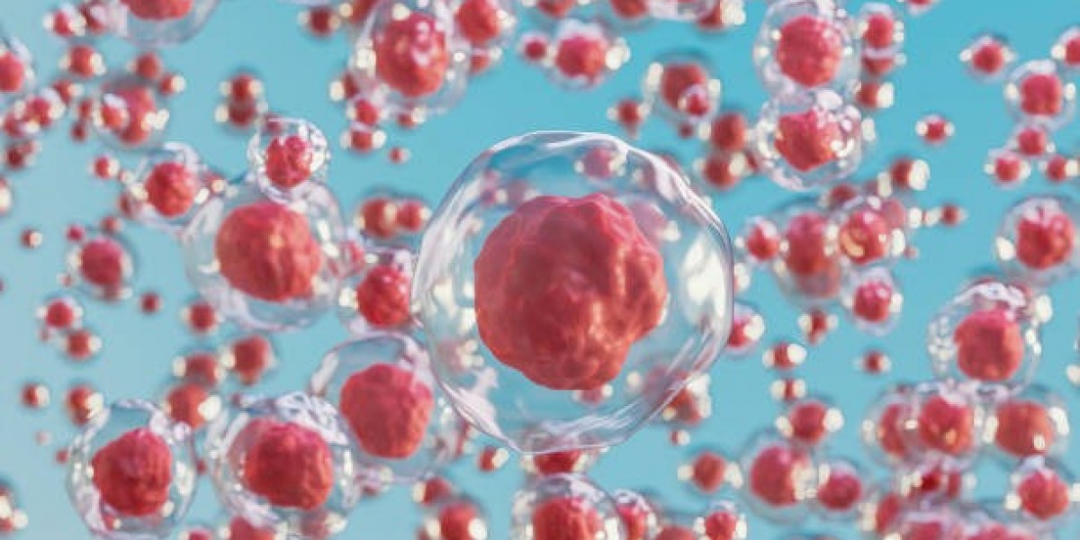 Mesenchymal Stem Cells Market Size, Share, Growth, Trends and Forecast 2025-2033