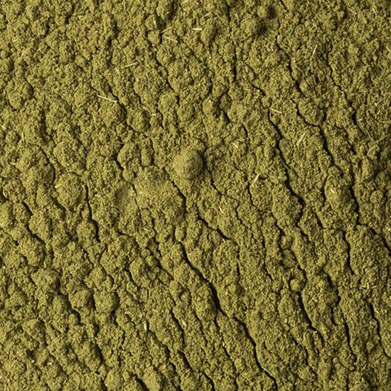 Moringa Powder Wholesale | Organic Moringa Powder Bulk