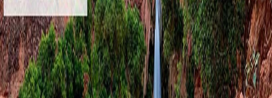 Desert Cove Recovery Cover Image