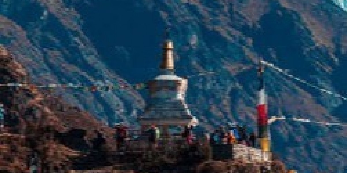 Beginner’s Path to Success: Forex Guide for Beginners