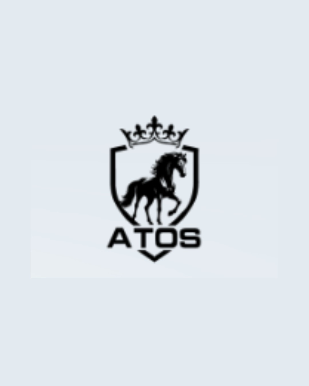 Atos Laundry Profile Picture