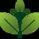 gramiti Profile Picture