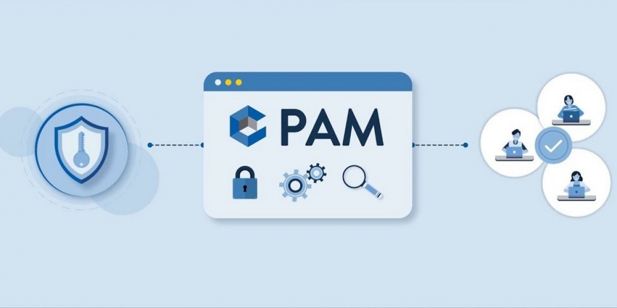 Privileged Access Management in Healthcare Explained