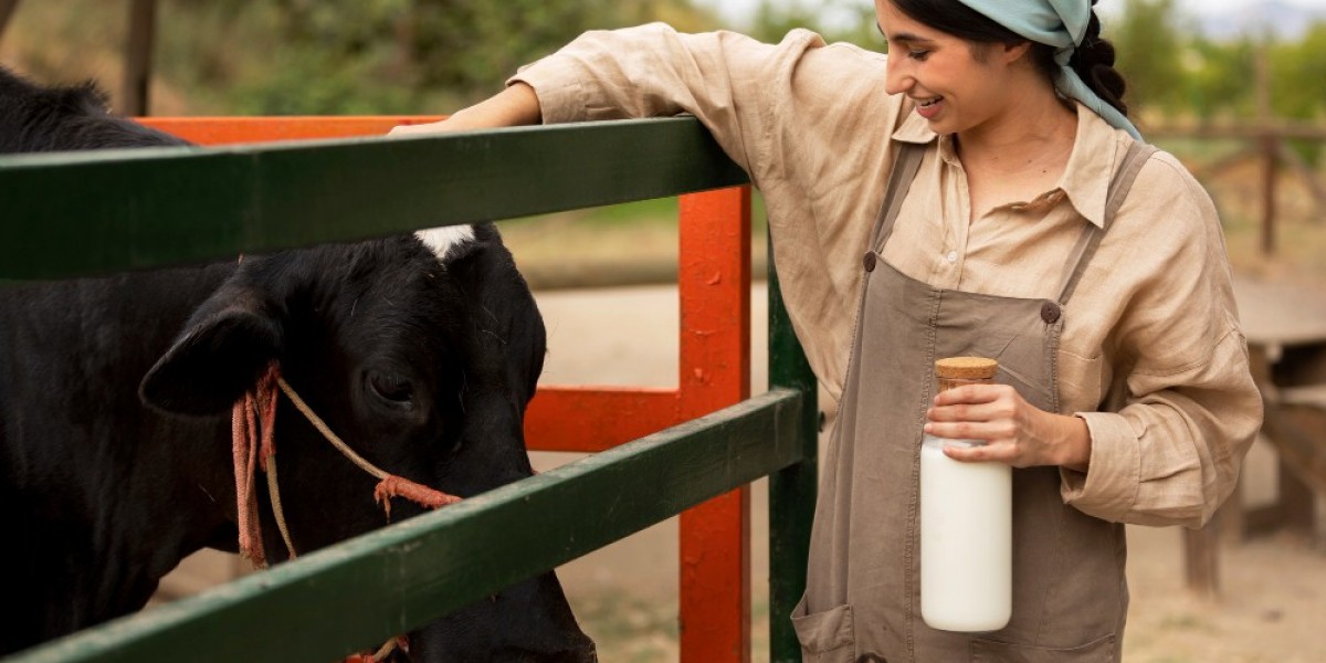 Vietnam A2 Milk Market Size, Share, Growth, Demand And Report 2025-2033
