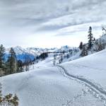 jagat nath profile picture