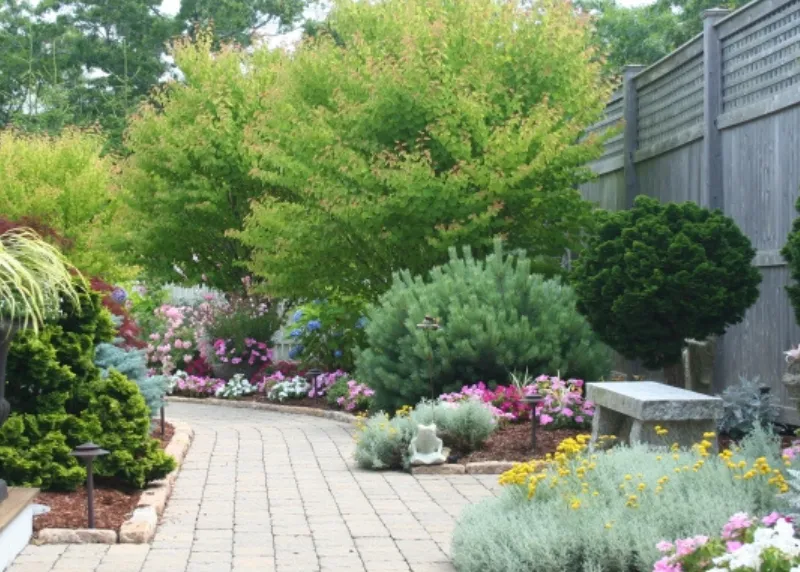 Timeless Outdoor Living: Thoughtful Landscape Design in Cape Cod - Rutherford Voice