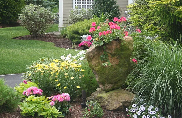 5 Signs It’s Time to Call Experts for Lawn Care Services in...