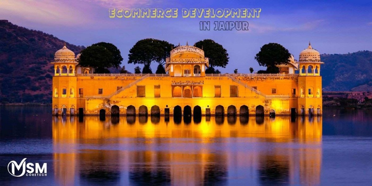 Ecommerce Development in Jaipur: Unlocking New Opportunities for Digital-First Businesses