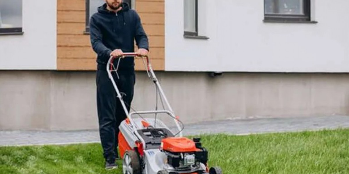 Lawn Maintenance & Lawn Service Mississauga for Expert, Reliable Care