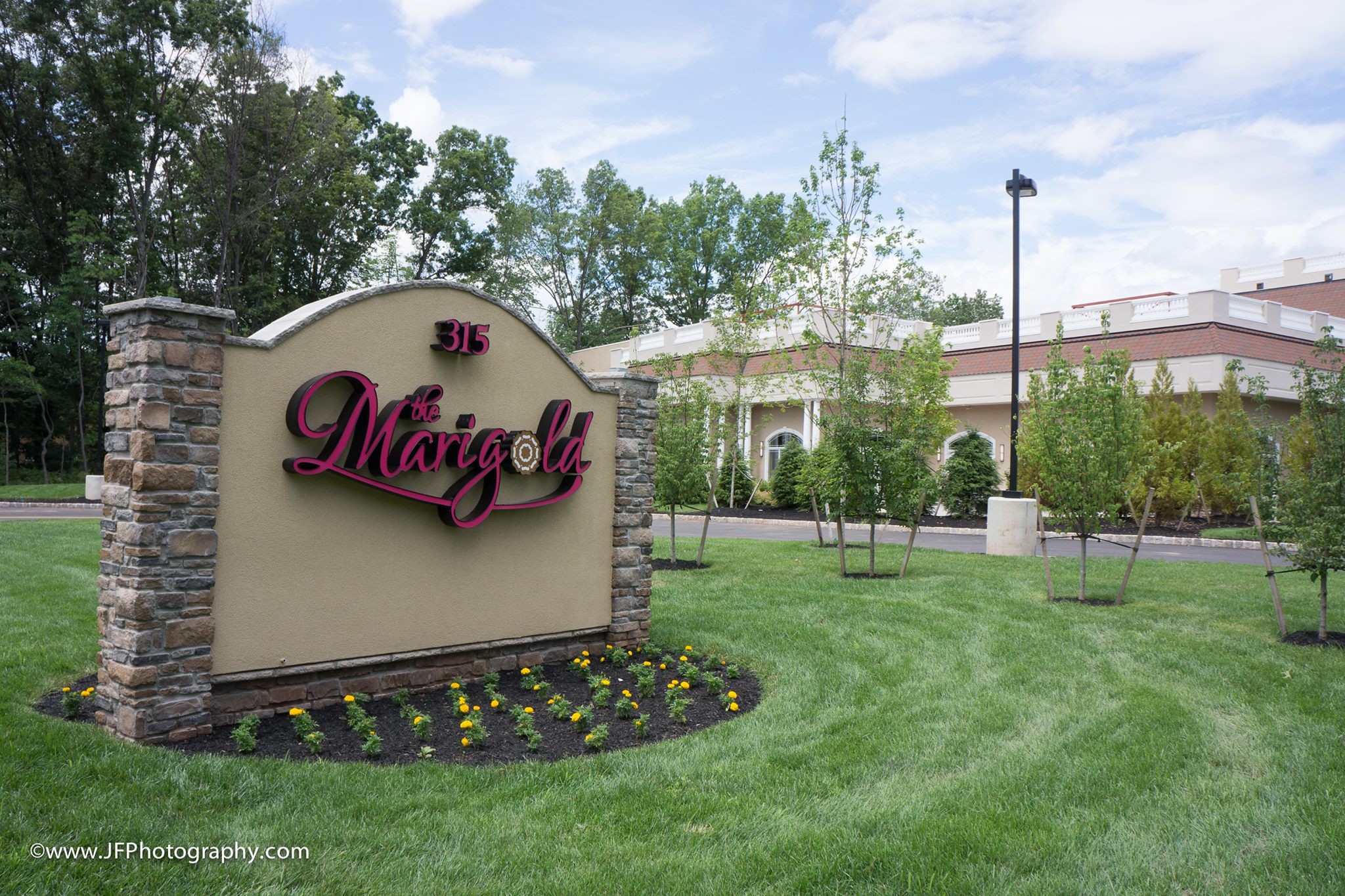 The Marigold Profile Picture