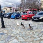 Greece Invests Profile Picture