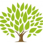 Ironwood Financial LLC Profile Picture