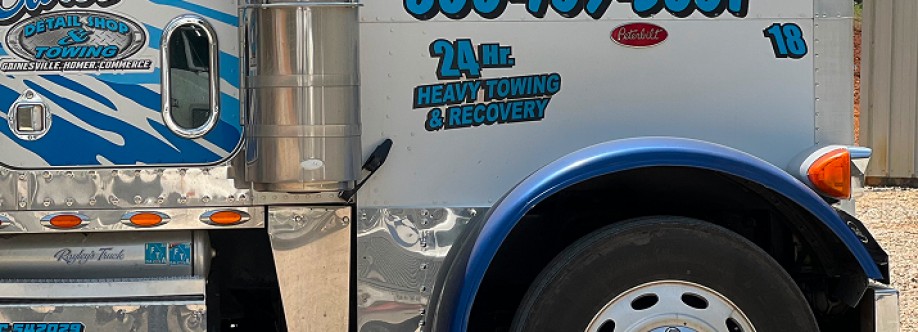 Curtsheavy towing Cover Image