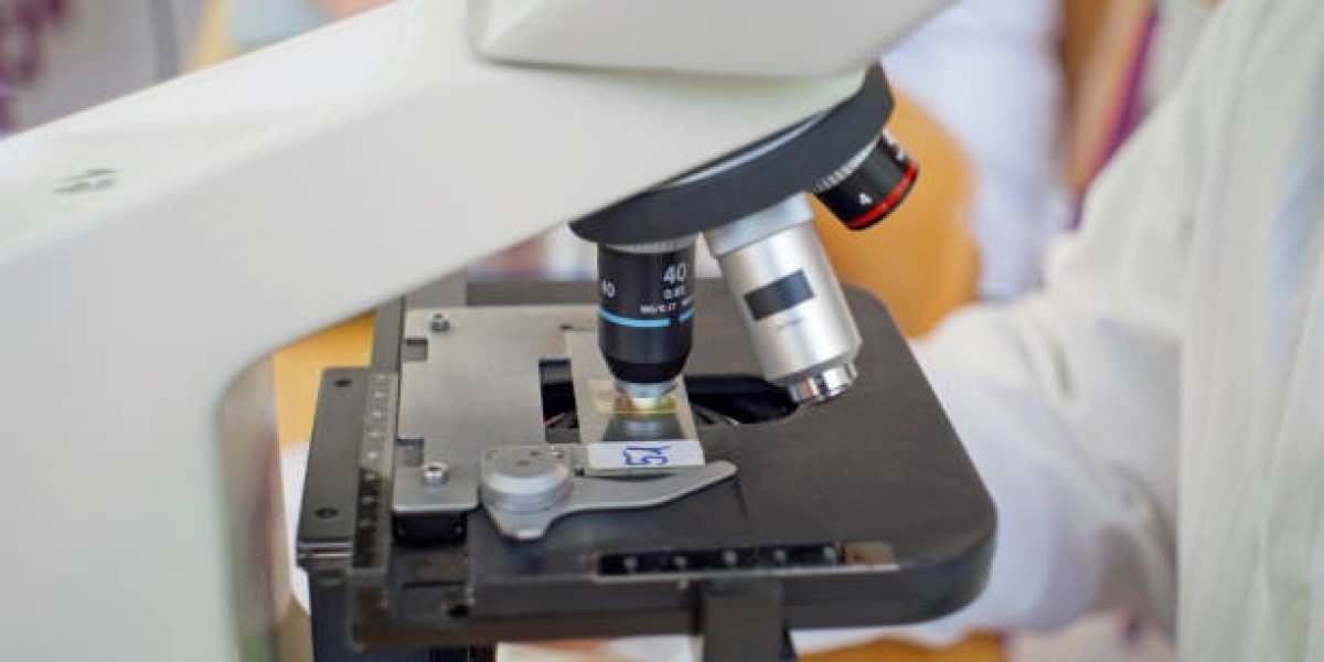 Veterinary Chemistry Analyzer Market Size, Share, Trends, Growth and Forecast Report 2025-2033