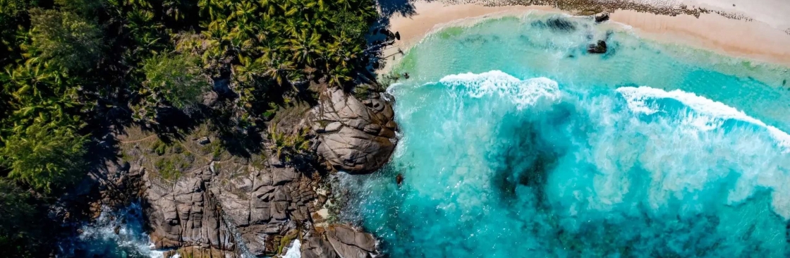 Nathalie Aron Cover Image