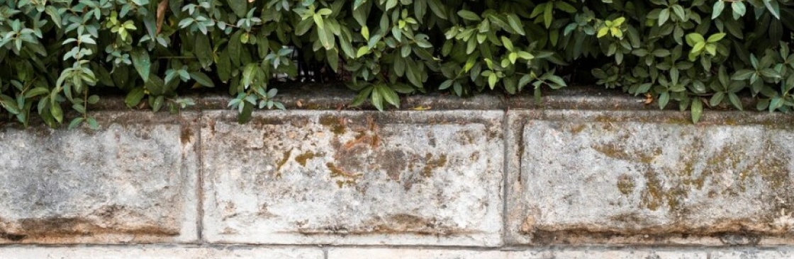 Williams Landscaping And Decks Cover Image