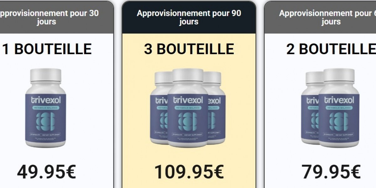 Pourquoi les utilisateurs choisissent trivexole pour une expérience web optimale