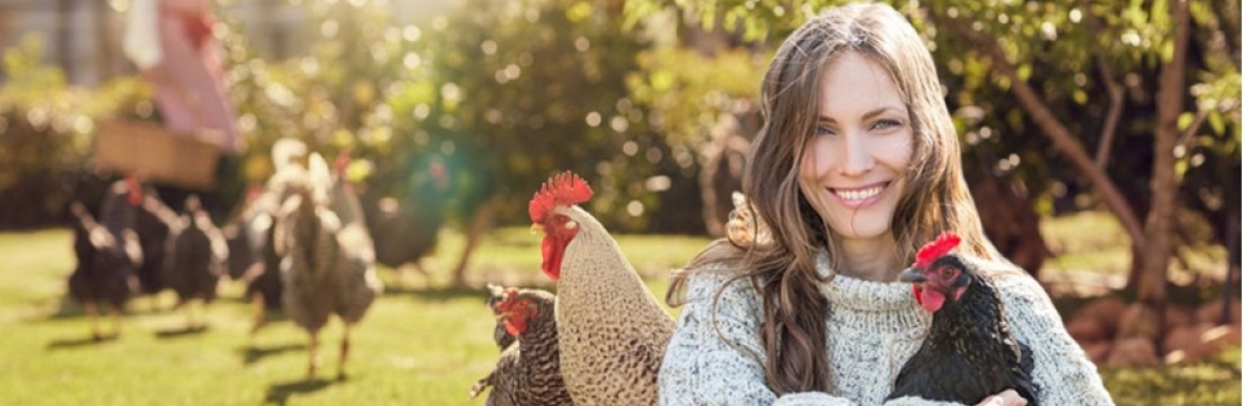 Coops and Hutches Direct Cover Image