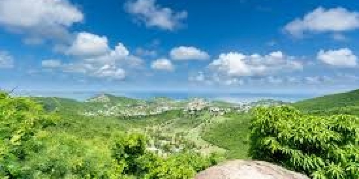 Antibody Isotypes: Understanding the Diversity of the Immune Response