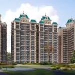 reeltor 55 Profile Picture