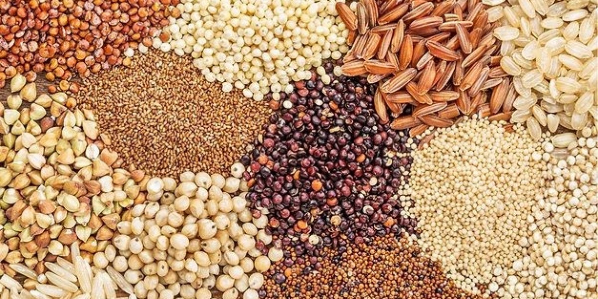 Understanding Digestion and Fiber Intake