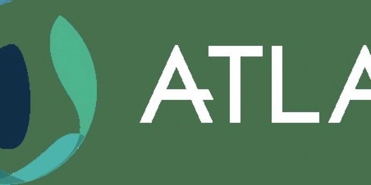 Web Design Bristol: Creating Digital Experiences That Drive Results | atlaswebdesign.co.uk