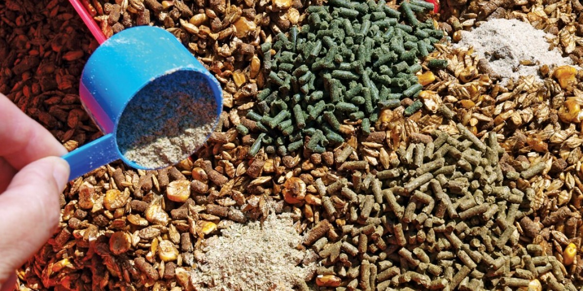 Animal Feed Organic Trace Minerals Market: Growth, Trends, and Industry Outlook